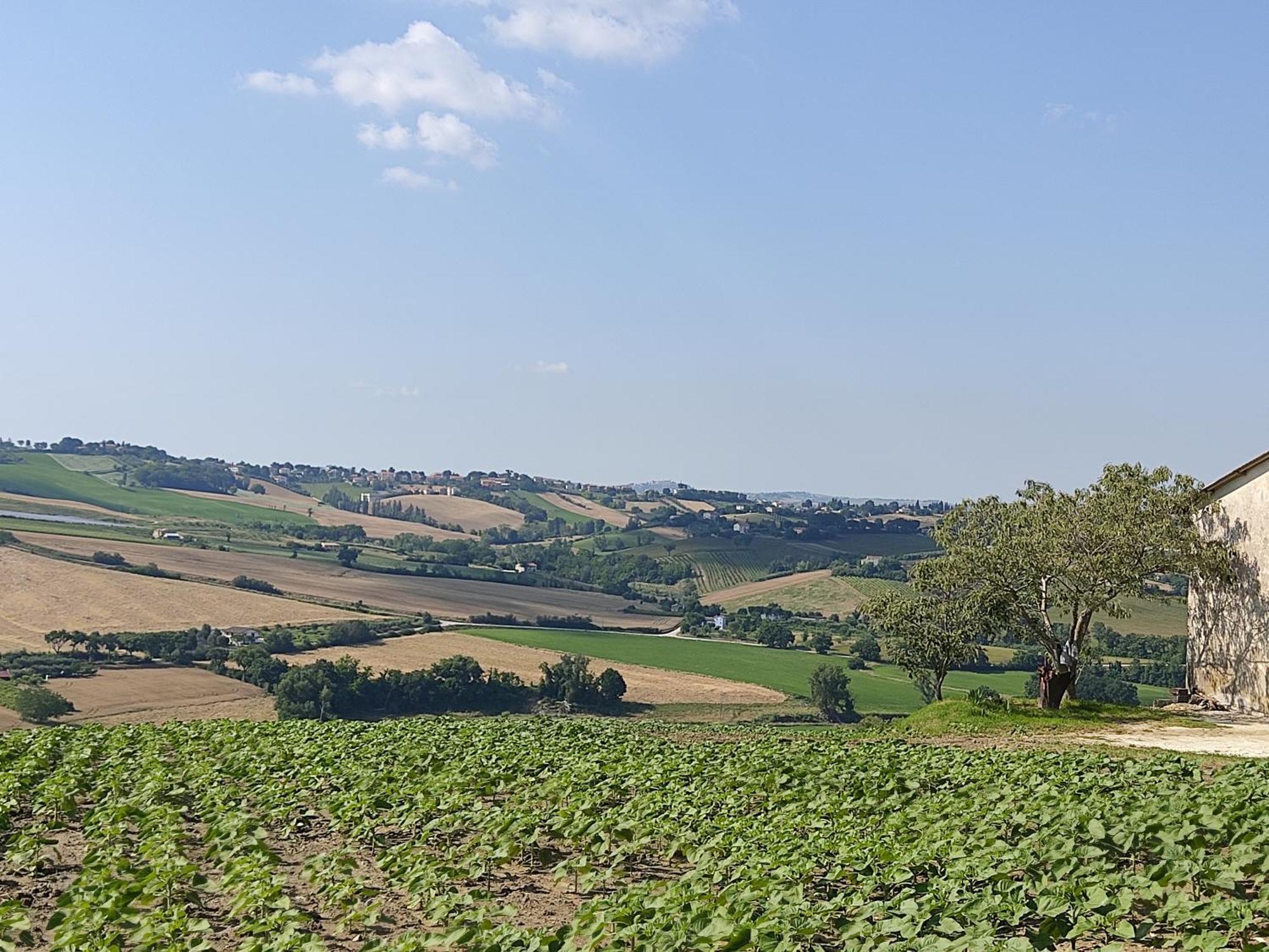 הוילה Castelleone di Suasa Casa Borgo Fonte מראה חיצוני תמונה