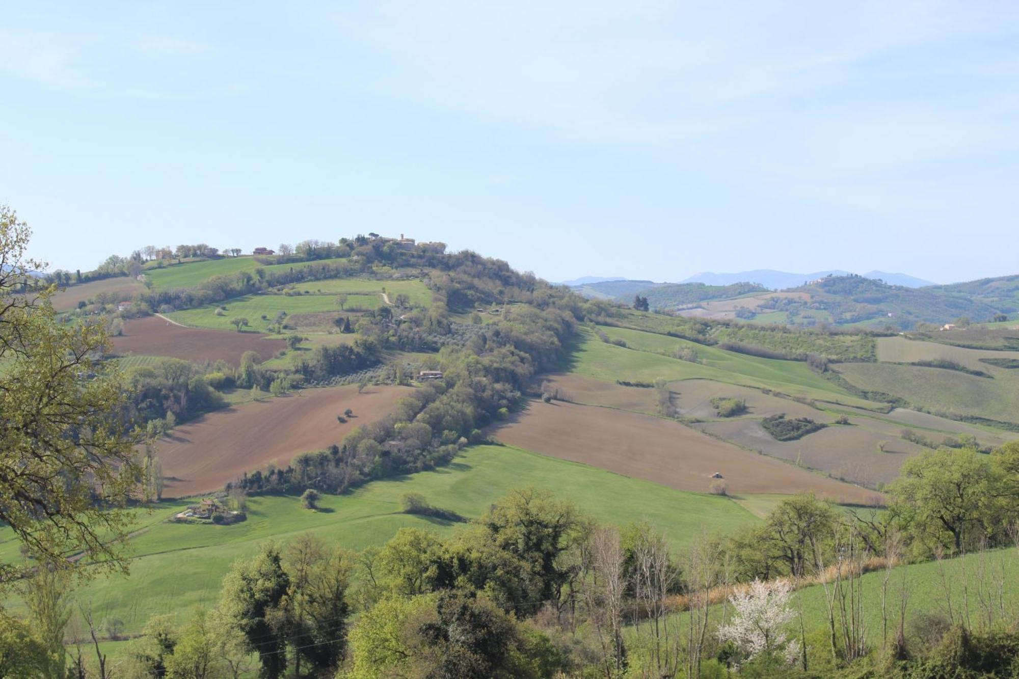 הוילה Castelleone di Suasa Casa Borgo Fonte מראה חיצוני תמונה