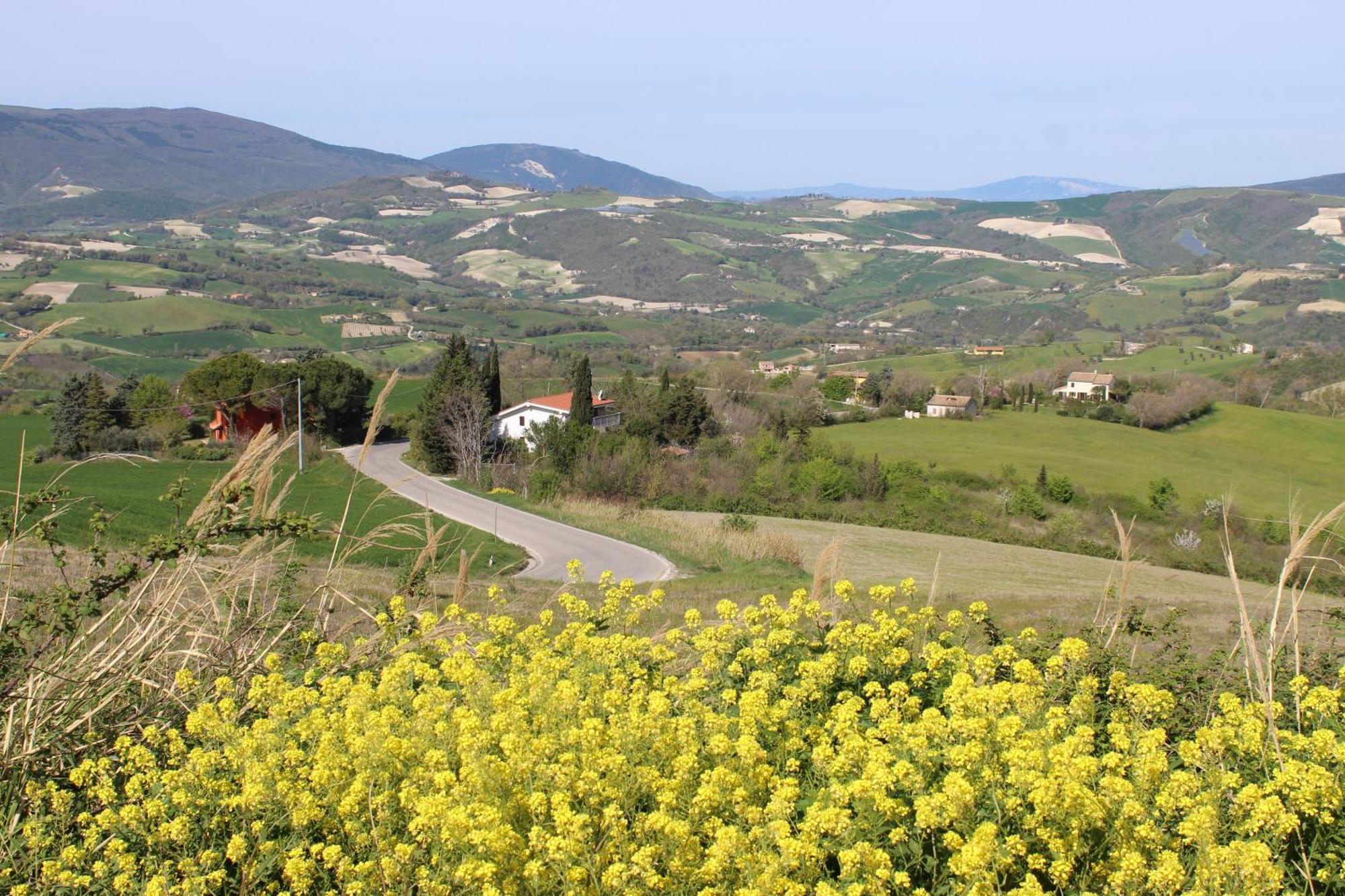 הוילה Castelleone di Suasa Casa Borgo Fonte מראה חיצוני תמונה
